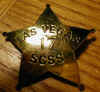 scss badge.JPG (17484 bytes)
